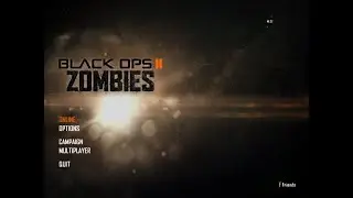 COD Zombies And Chill