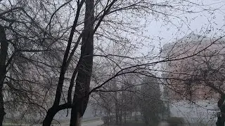 Запорожье. 25. 03. 2023 Я ЖДУН И ЭТОГО НЕ СКРЫВАЮ !