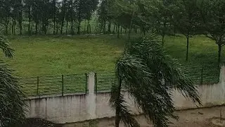 Cyclone Michaung 