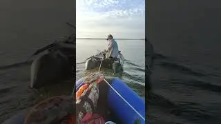 18 августа 2024 г.