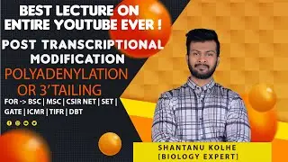 Post Transcriptional Modification | Polyadenylation or 3' Tailing CSIR NET | RNA Processing CSIR NET