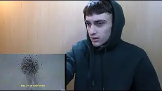 (REACCIÓN) C. Tangana - Nunca Estoy (Video Oficial)