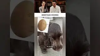 Животные и хозяева!