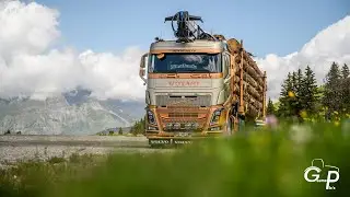 VOLVO FH16 650 🚚💨🌲 GRUMIER FRIEDERICH (TRANS BF)