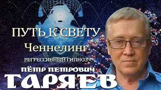 Пётр Петрович Гаряев. Общение с Душой. Ченнелинг