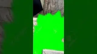Green Screen Overlays || Green Screen effects Backgrounds 9 || Chroma key 