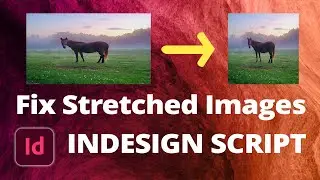 How to Correct Image Proportions with a Script • InDesign