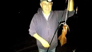 (174) Balık yoksa, KALAMAR damı yok ?  (Vlog)