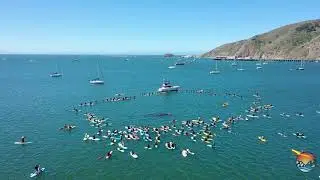 Avila Beach / Port San Luis - Surfers paddle out in solidarity for BLM