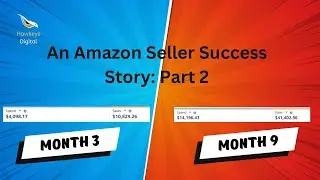(Part 2) Hawkeye Digital - An Amazon Seller Success Story Case Study