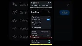 Adding Columns In The New IBKR Option Chain [IBKR 