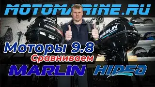 Хайди и Марлин / Чем отличаются эти два красавца?