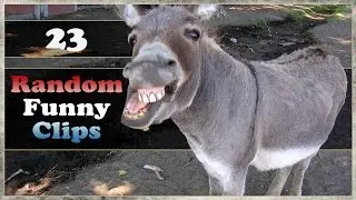 Random Funny Clips - Ep.23 - Invincible Missionary!