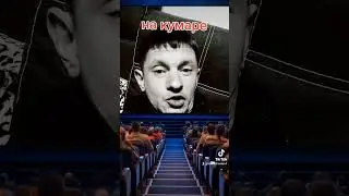 Сон кайфарика