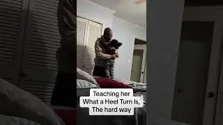 Kid learns about heel turns #shorts