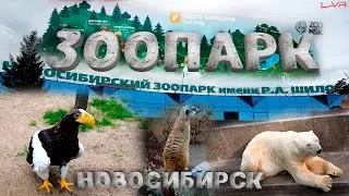 Новосибирский ЗООПАРК им. ШИЛО | Новосибирск | 