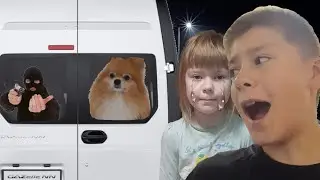 МЫ ПОТЕРЯЛИ СОБАКУ !