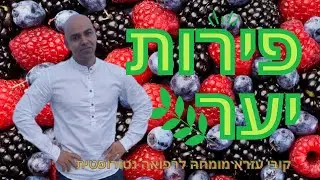 פירות יער, פירות יער יתרונות בריאותיים, אוכמניות, פטל, דובדבים, חמוציות, אסאי,פירות יער קפואים טריים