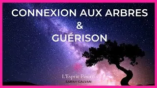 Comment entrer en CONNEXION avec les ARBRES - Comment guérir grâce à la nature #arbres