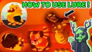 HOW TO USE LURE AND BAIT IN ADOPT ME! CATCH FIRE PETS !