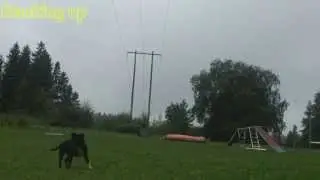 HSK1 lesson 1, positions, video 1