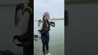 RUSH WAVE ,I had fun watching the video