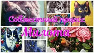 Совместный процесс 