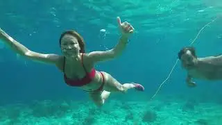 Snorkeling with sea turtles  🐢 🇵🇭 #philippines #bohol #snorkeling#travel #fyp
