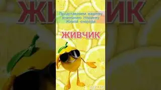 🔥🔥🔥 ПРЕДСТАРТ 🔥🔥🔥🚀 ЖИВОЙ ОЧЕРЕДИ: ЖИВЧИК