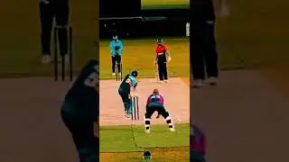 Dubai Cricket League: Shocking Clean Bowled Moments