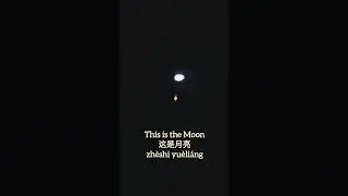 The MOON                                   #shortsfeed