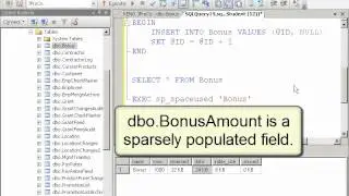 SQL2008DevVol3 Lab4 1   SparseDataOptionGoodVideo