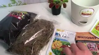 Хищные растения купить - Комбо набор №2 - Магазин Exotica