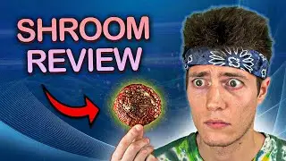 I Ate Amanita Muscaria Mushrooms and This Happened... (100% LEGAL)