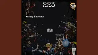 223