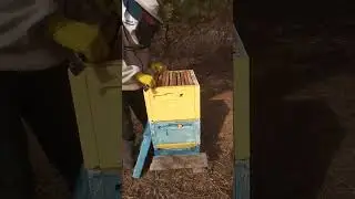 Установка второго корпуса.Весенние работы на пасеке.