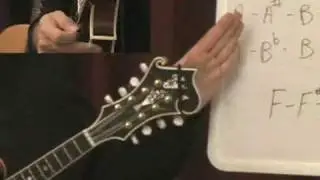 12 Basic Music Theory for the Mandolin