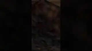A NAMI diz que QUEIMOU para o ZORO???? ONE PIECE VR!!