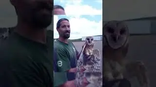 SHOCK! These Are The Scariest Animal Sounds In The World!