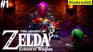 The Legend of Zelda echoes of wisdom Playthrough.