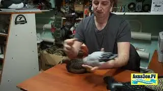 Чучела уток Свиязь  Softplast  Антиблик