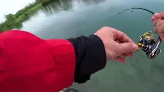 Ловля прудовой форели на спиннинг