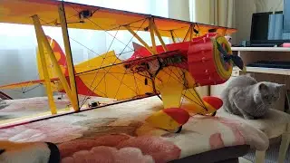 Waco YMF-5 maiden