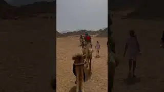 DESERT SAFARİ HURGADA #egypt #safari #quad #buggy #camelride #bedouin #egyptiandance #adventure