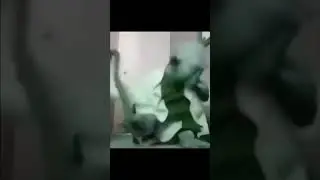 Yoda was drunk/Yoda era beat 