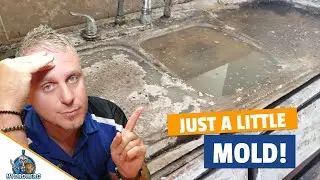 Mold Remediation Inspection