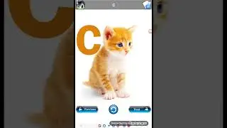 alphabets a to z teaching for kids