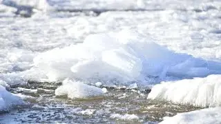 Аномально теплый ноябрь в Сибири …😱