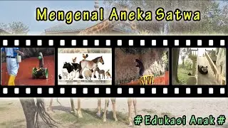 mengenal aneka satwa