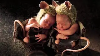 10 fotos criativas de bebes✌👶